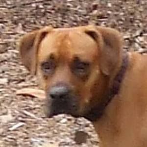 Meet your Posher, Ronald